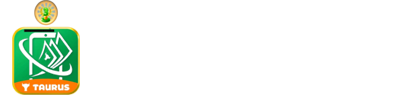 Taurus logo 100X300
